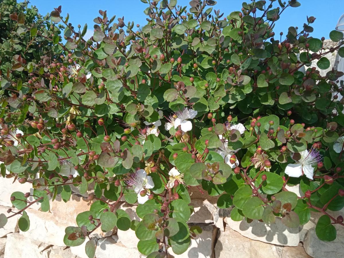 I 5 Sensi Villa Marina di Modica Buitenkant foto